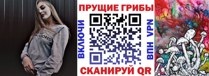 маркетплейс телеграм  Магас  Псилоцибиновые грибы мухоморы 